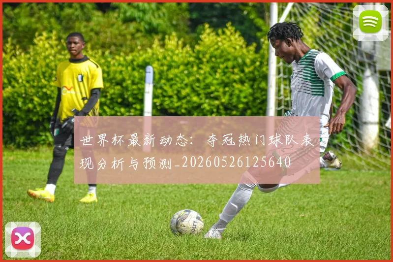 世界杯最新动态:夺冠热门球队表现分析与预测_20260526125640