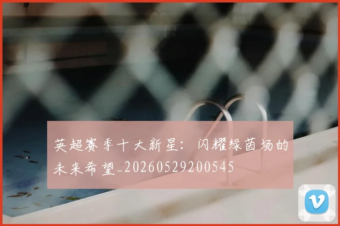 英超赛季十大新星:闪耀绿茵场的未来希望_20260529200545