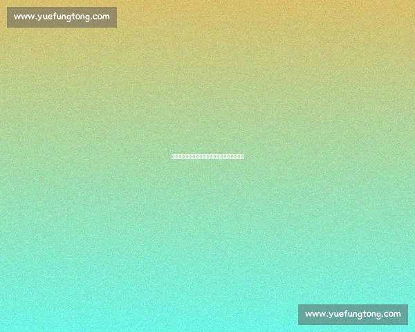 揭秘孙兴慜的成功秘诀：天赋与努力的完美结合